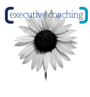 Executive_Coaching